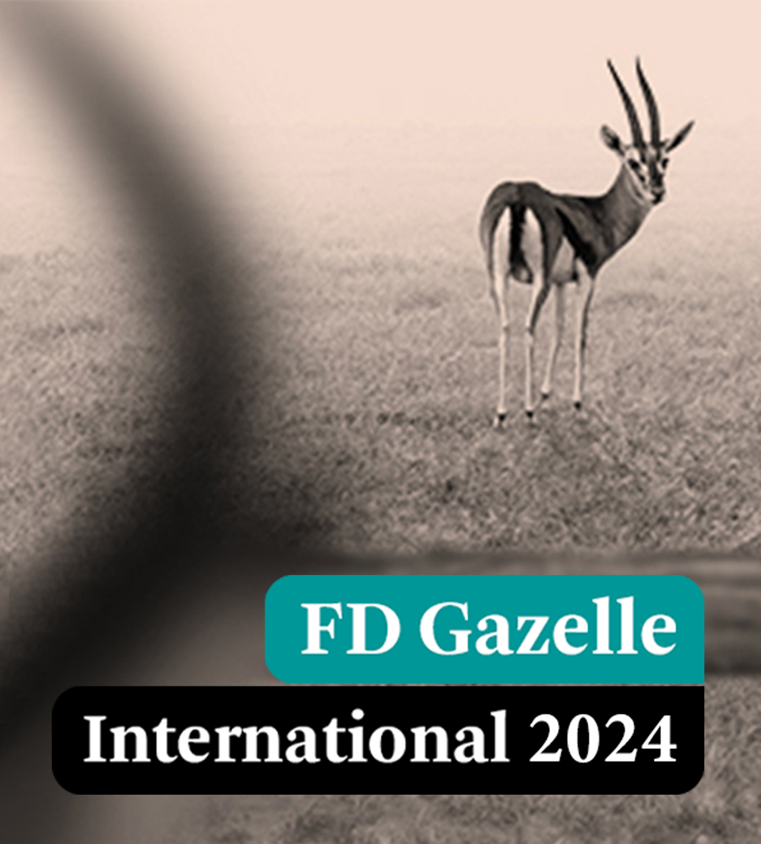 FD Gazelle International Award 2024 voor Global Mounts Group