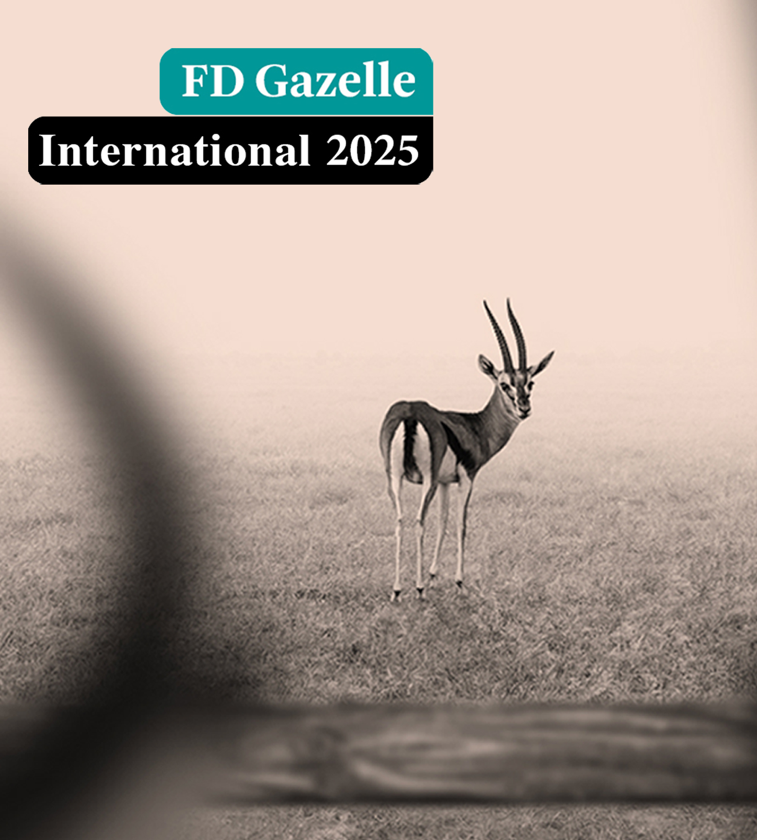 Global Mounts Group ontvangt de FD Gazelle Internationaal 2025 titel