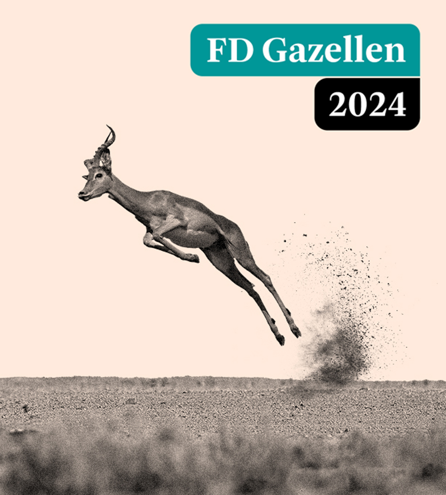Global Mounts Group wint de FD Gazelle Award 2024